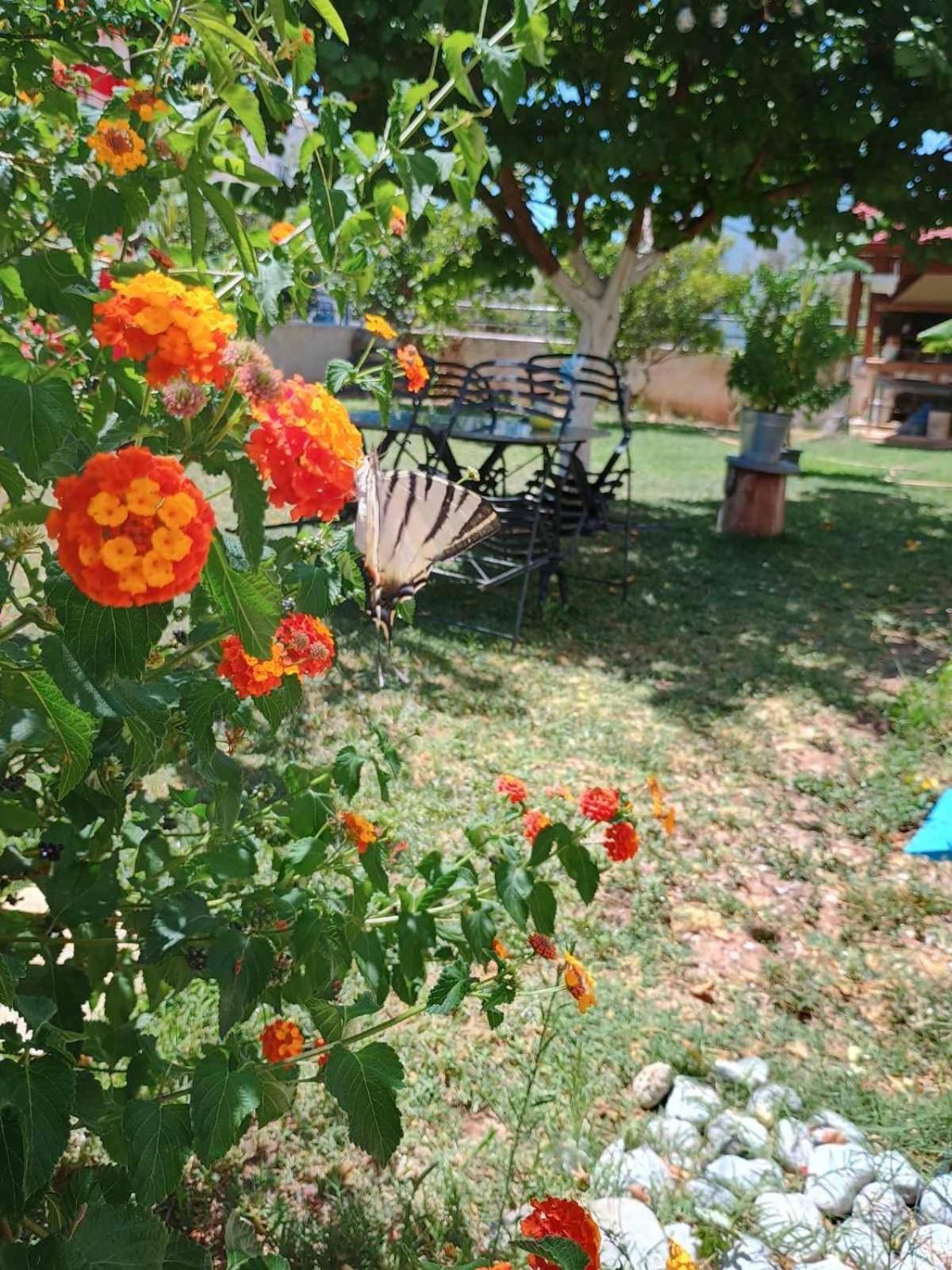 Sea View Studio Kirra Εξωτερικό φωτογραφία